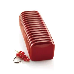 BANDONEÓN 1800 - STAMPO IN SILICONE BANDONEÓN 256X95 H 87 MM