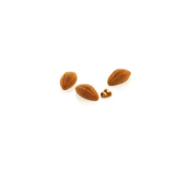 Cacao XS 12
