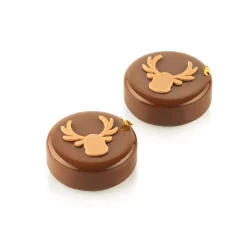 Chablon Rudolph