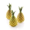 FORESTA & ANANAS 110 - STAMPO IN SILICONE ø60 H 73 MM + SUPPORTO IN PLASTICA