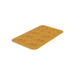 Ginkgo
