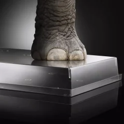 I-Gloo 8.5