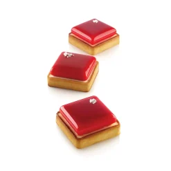KIT TARTE RING SQUARE 80X80 MM - SET STAMPO IN SILICONE 67X67 MM + 6 ANELLI
