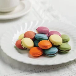 Scg21 Choco Macaron