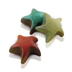 Scg42 Starfish