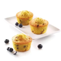 SF102 Medium Muffin