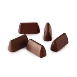 SF125 - STAMPO IN SILICONE N.24 CHOCOGIANDUIA 50X18 H 23 MM TERRACOTTA