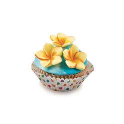 SLK808 FRANGIPANI FLOWER